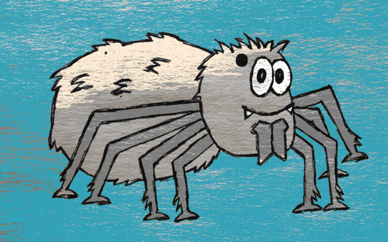 Spider for Card 2